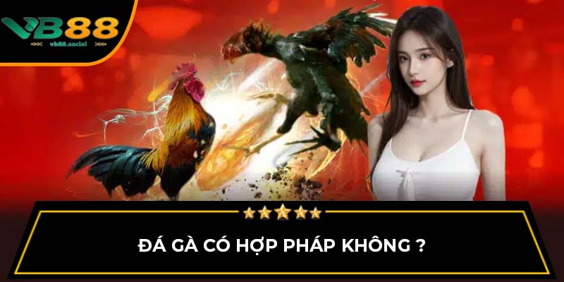 Bí Quyết Dự Đoán Kết Quả Đá Gà VB88 Dành Cho Người Mới 1 Đá gà có hợp pháp không ?