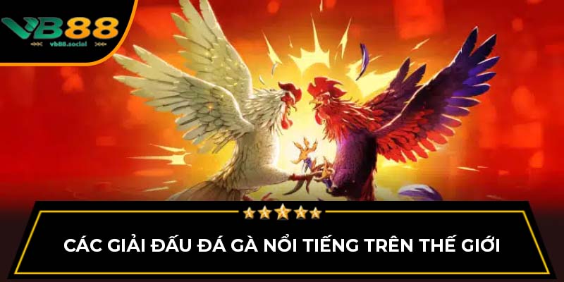 Bí Quyết Dự Đoán Kết Quả Đá Gà VB88 Dành Cho Người Mới 2 Các giải đấu đá gà nổi tiếng trên thế giới